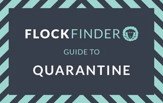 FlockFinder: Guide to Quarantine 🚫