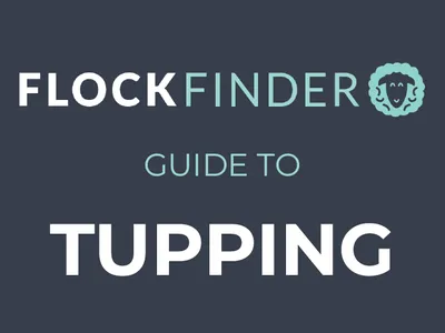 FlockFinder: Guide to Tupping