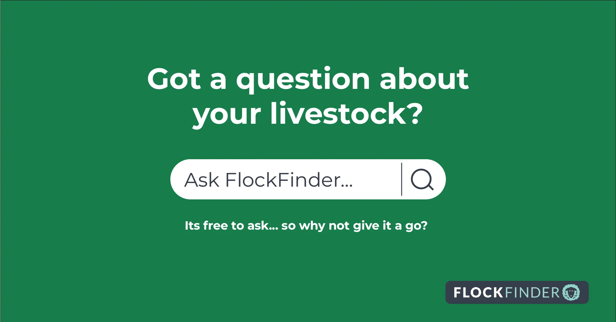 Introducing EweGene: The Flockfinder AI-Powered Advisor for Livestock Disease 🔍