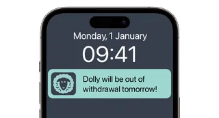 Notifications and alerts