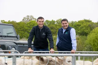 Building More Than Software: The Story of FlockFinder’s Founders