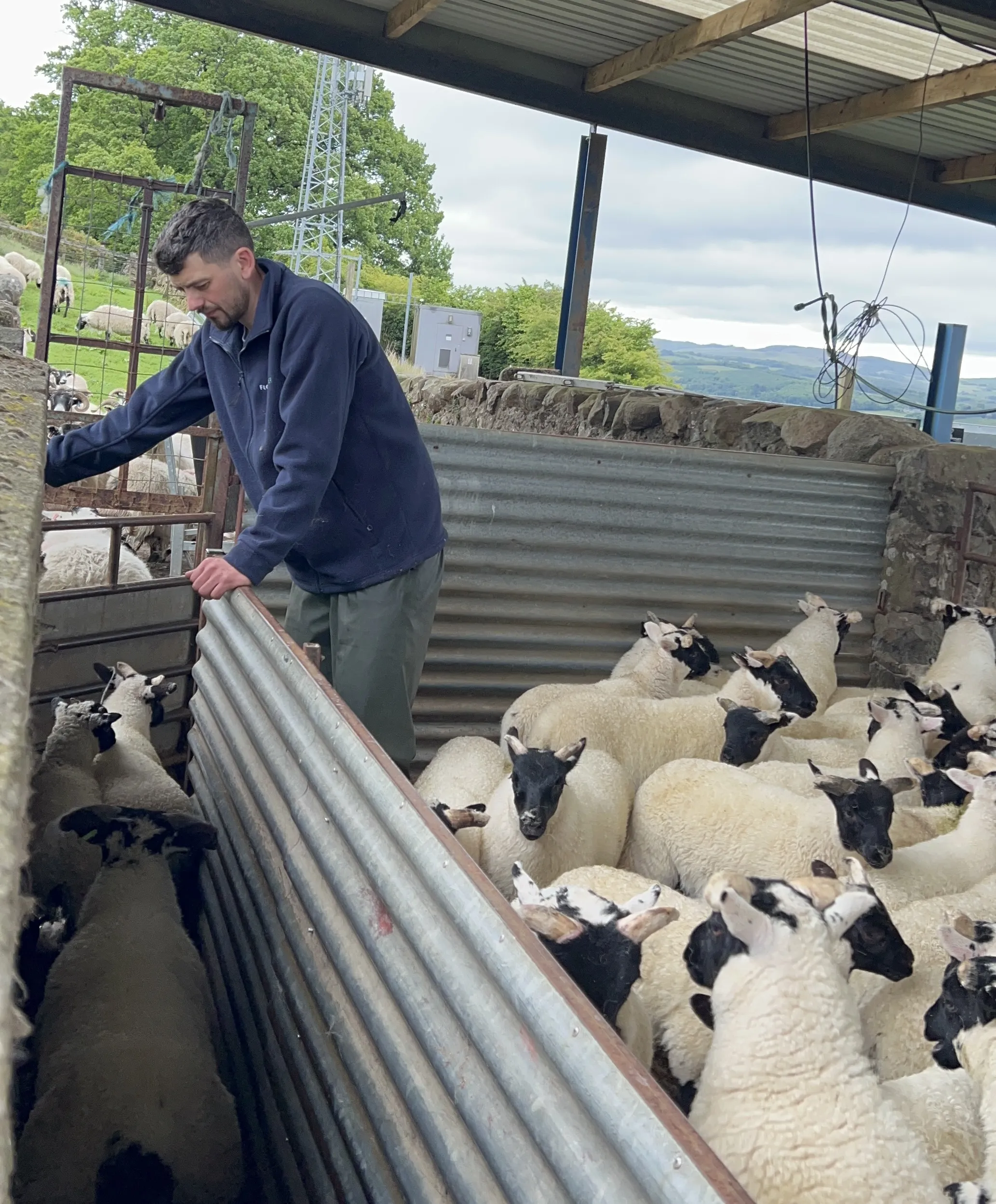 When the World Watches Farming — What Do We Show Them?