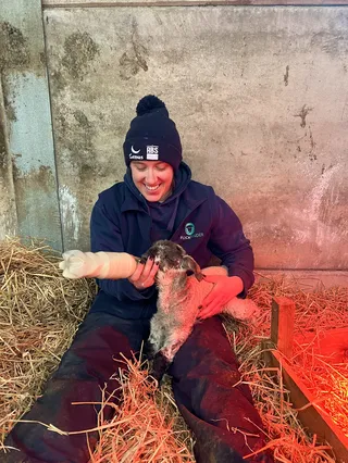 5 Ways to Maximize Lamb Health & Performance This Lambing Season