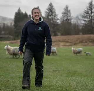 ✂️ Sheep Shearing: When, Why, and How to Get It Right