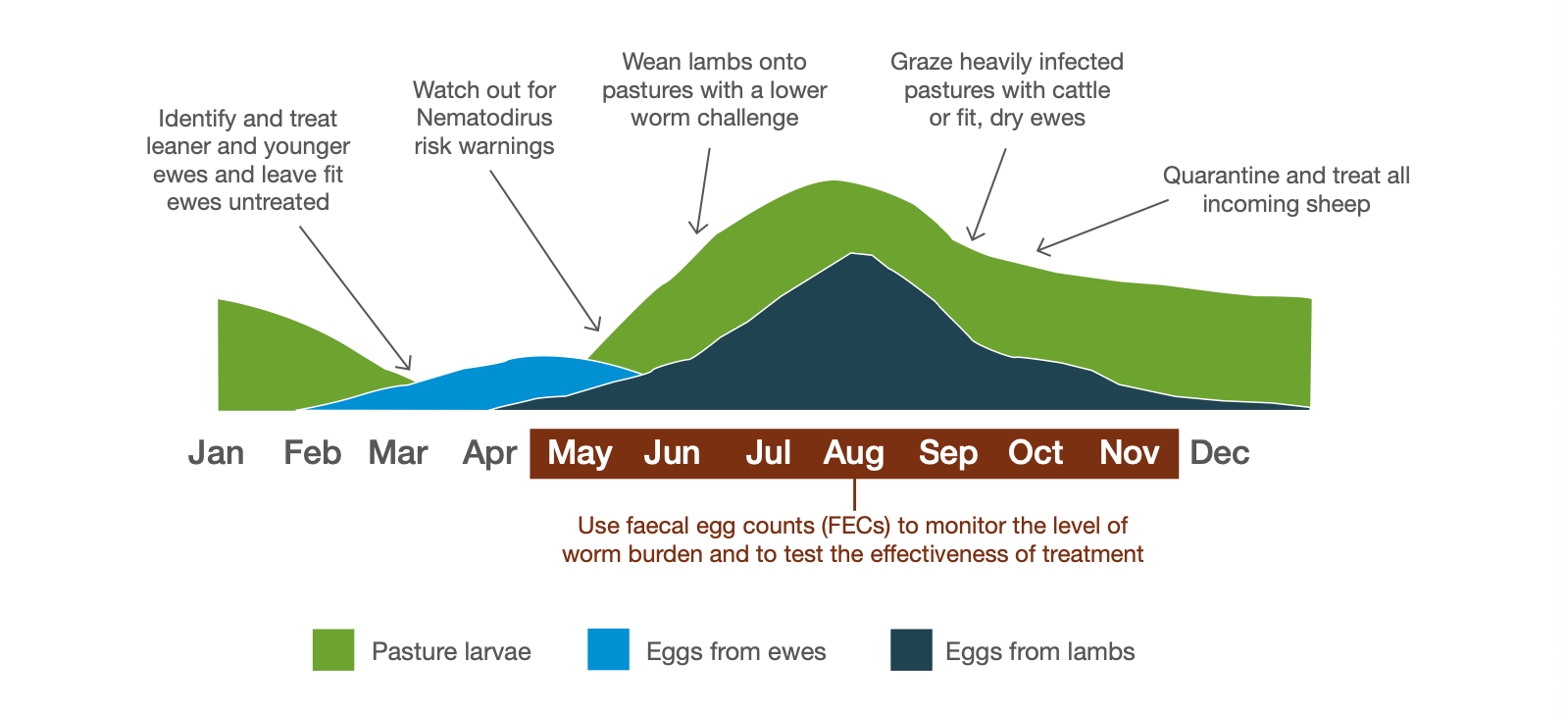 Worm challenge through the seasons