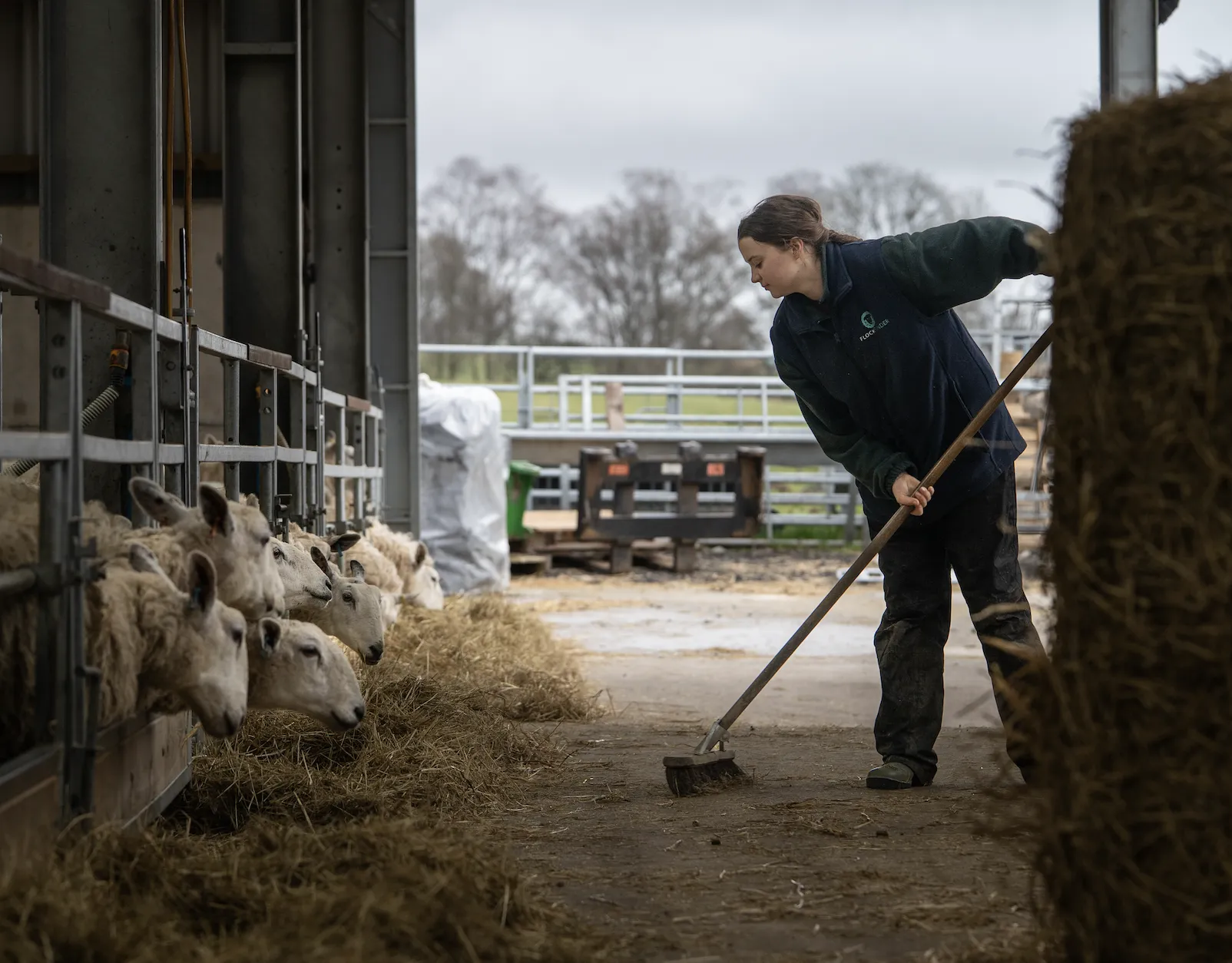 Top Lambing Tips for a Smooth Season