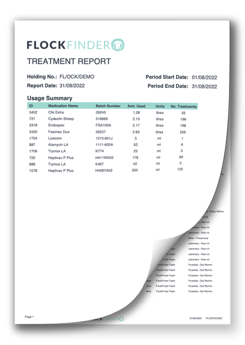 Treatment Report