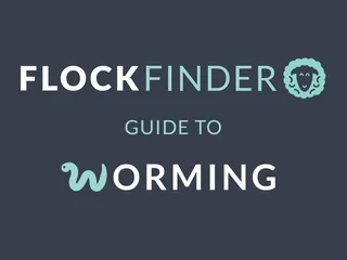FlockFinder: Guide to Worming 🪱