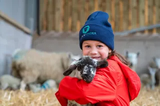 Lambing 2025 🐑🐑🐑