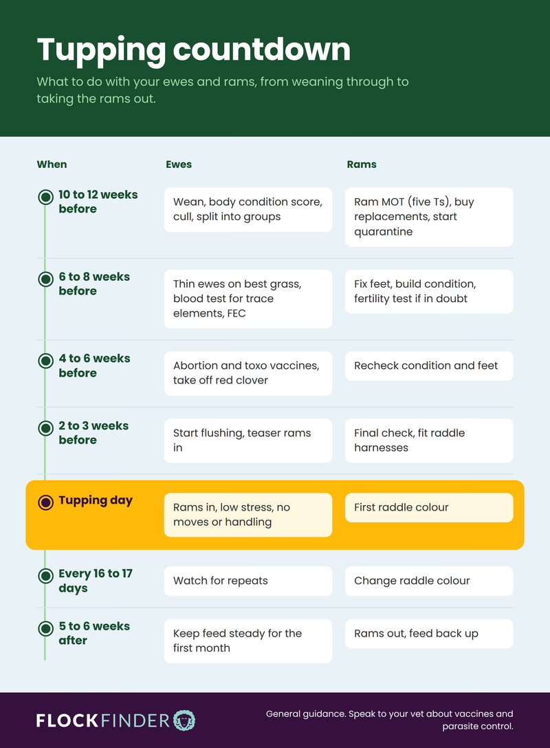 Tupping Checklist