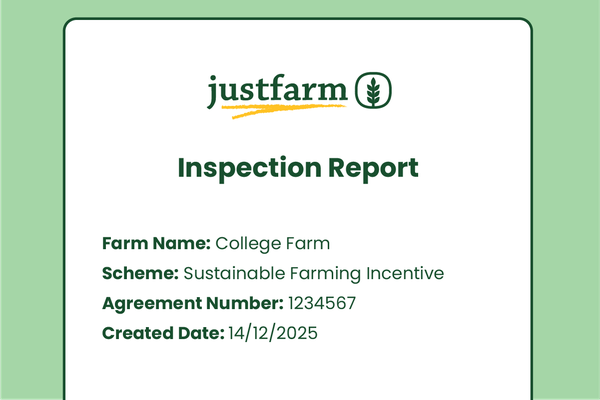 Professional reporting dashboard