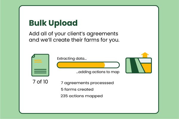 Bulk processing interface