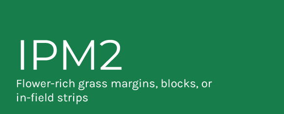 IPM2