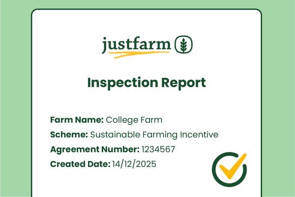 Professional reporting dashboard