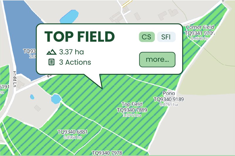 One Tool Every Scheme-100