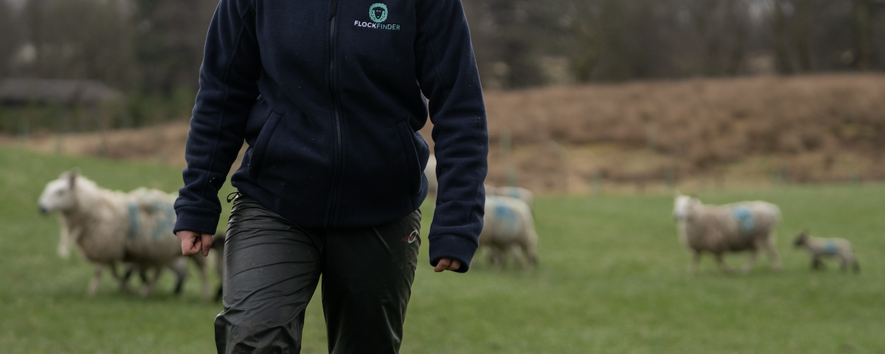 Screenshot 2025-04-28 at 15.10.50