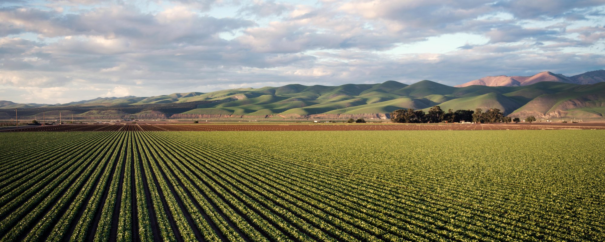 pexels-timmossholder-974314