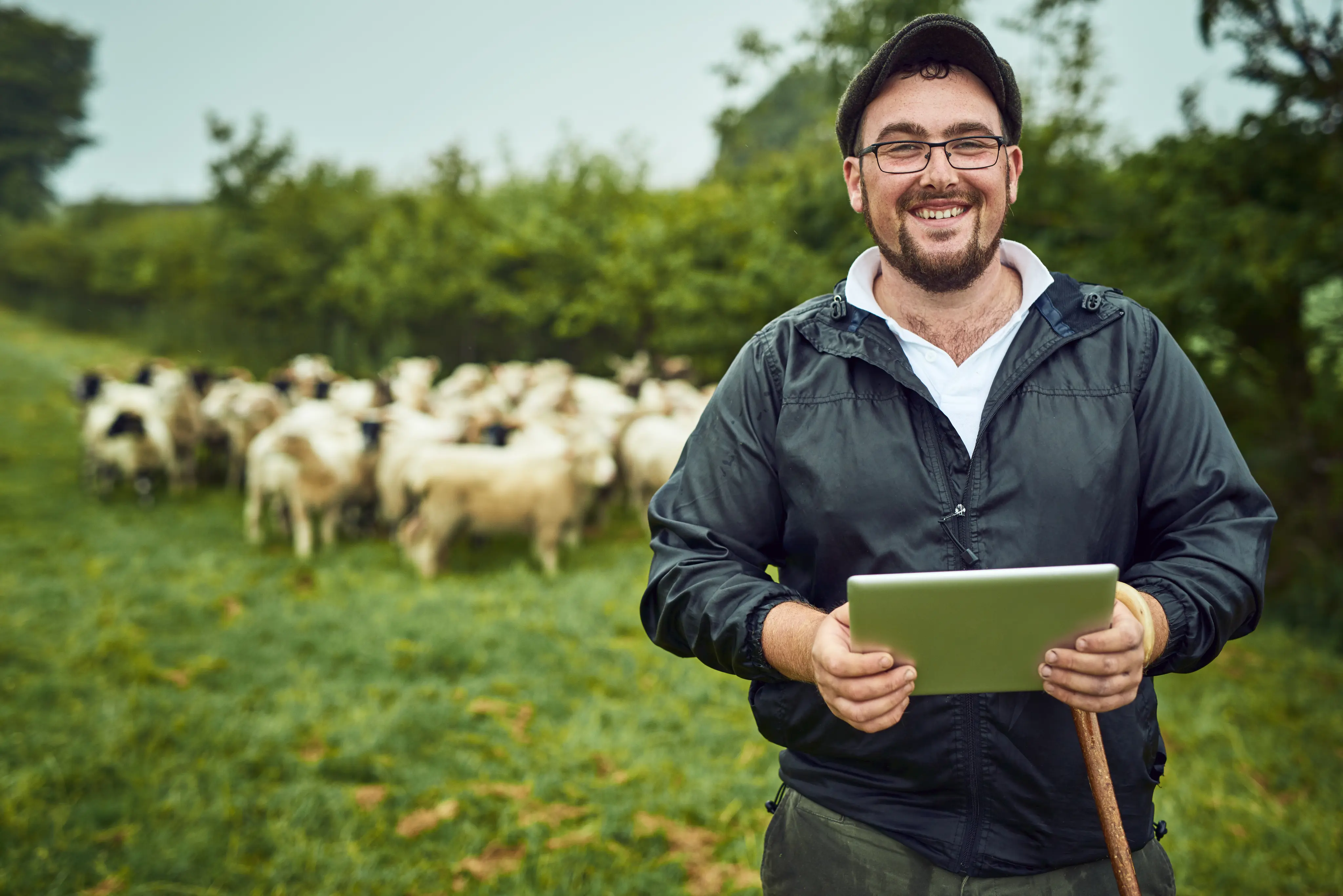 Farmer using tablet