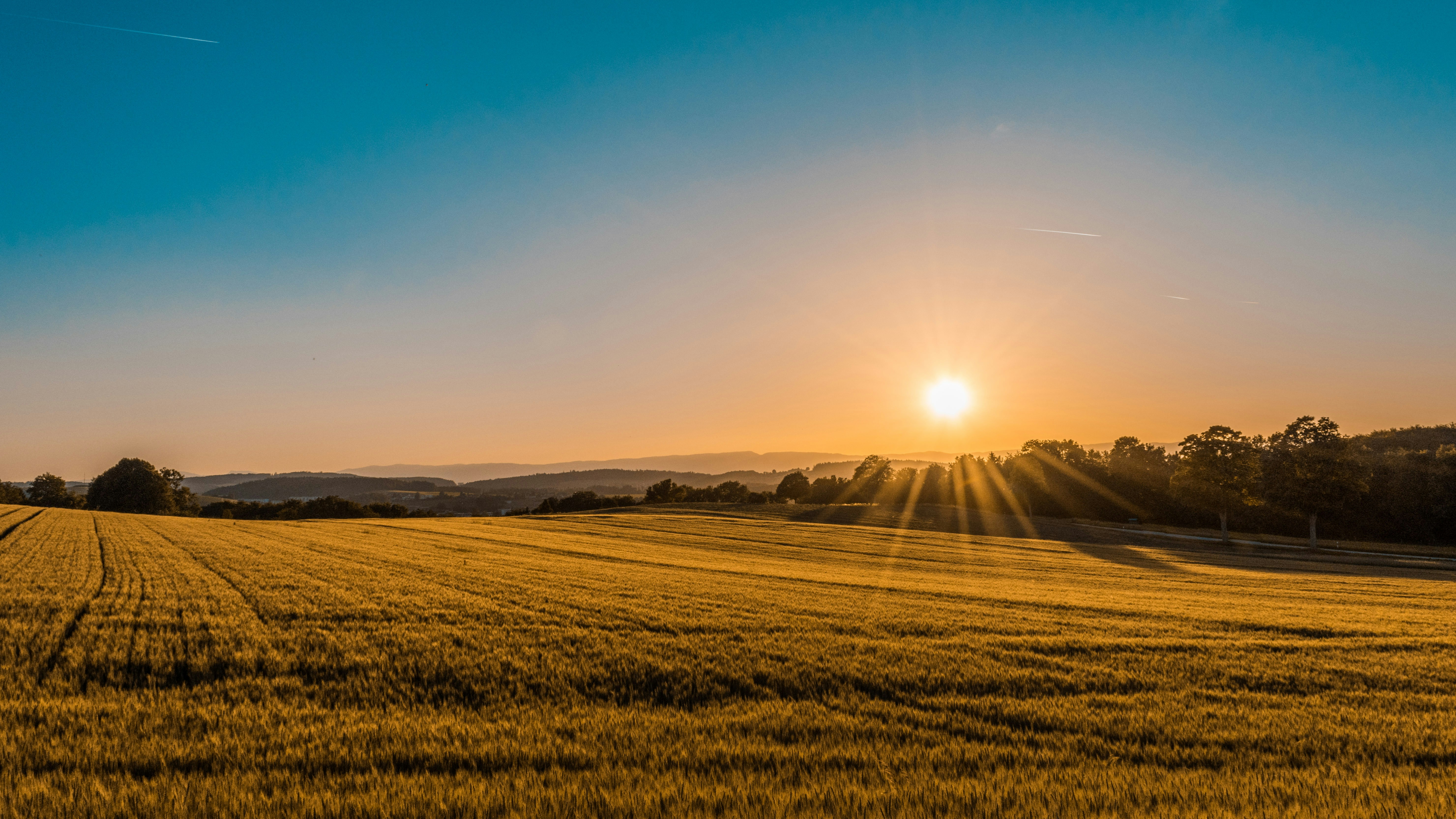 Agricultural field
